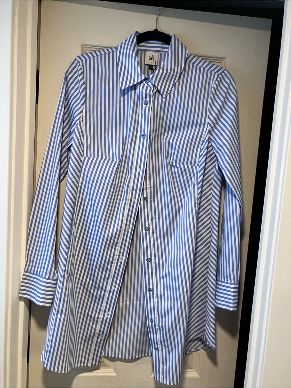 Cabi Blue & White Striped women’s Dress Up Shirt/dress
